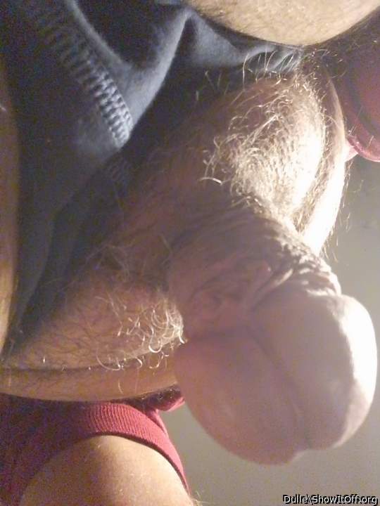 Adult image from Dulle