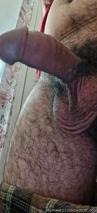 Adult image from Mymeat11