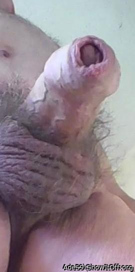 Adult image from Ade59