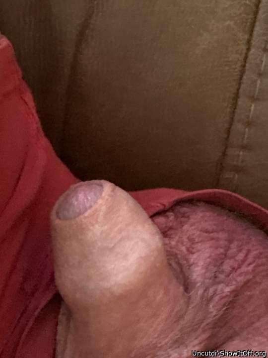 Adult image from Uncutdi