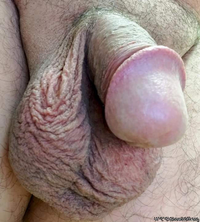 Gorgeous cock!    