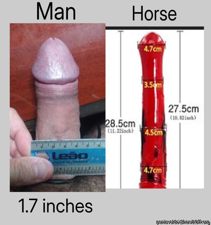 Adult image from penisvaldo