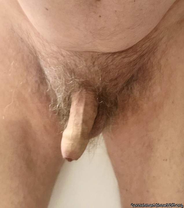 Adult image from Cornishman