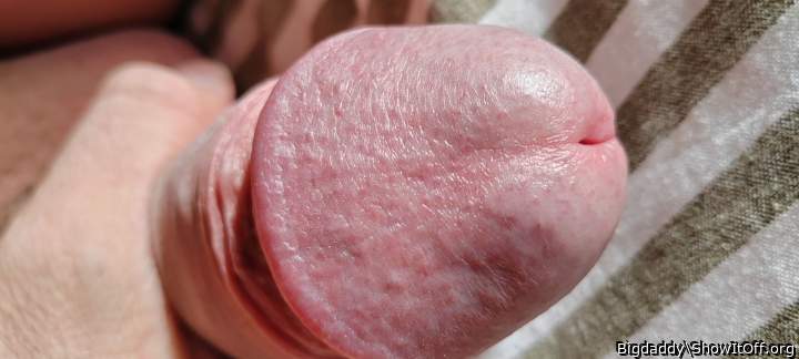 Adult image from Bigdaddy