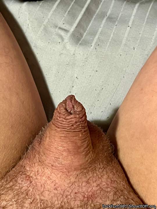 Adult image from DickFun1981