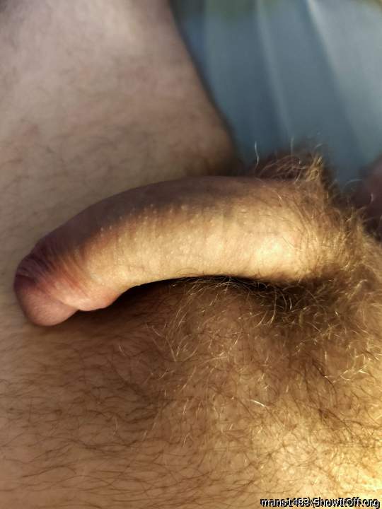 Adult image from mans1483