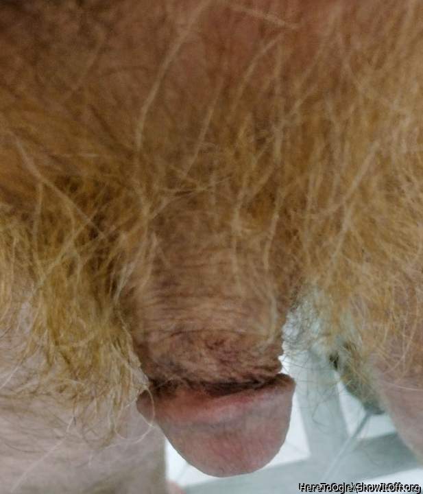 Adult image from HereToOgle