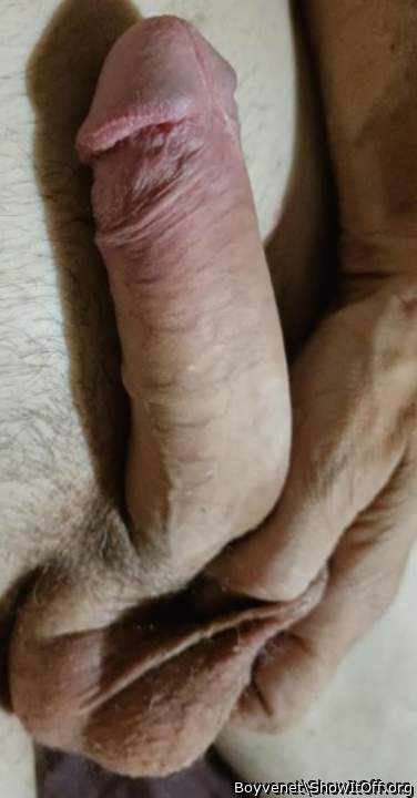 Adult image from Boyvenet