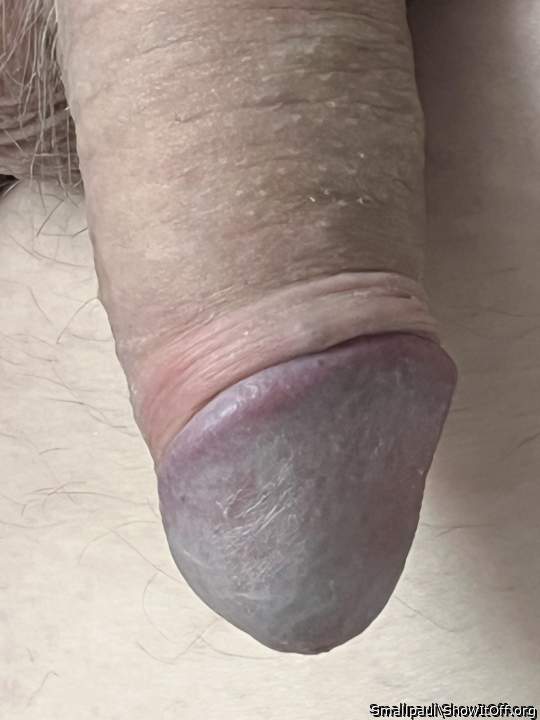 A very attractive cock