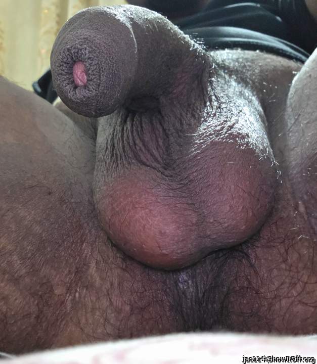 Adult image from jac114