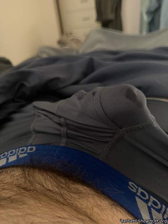 Adult image from Bartlett