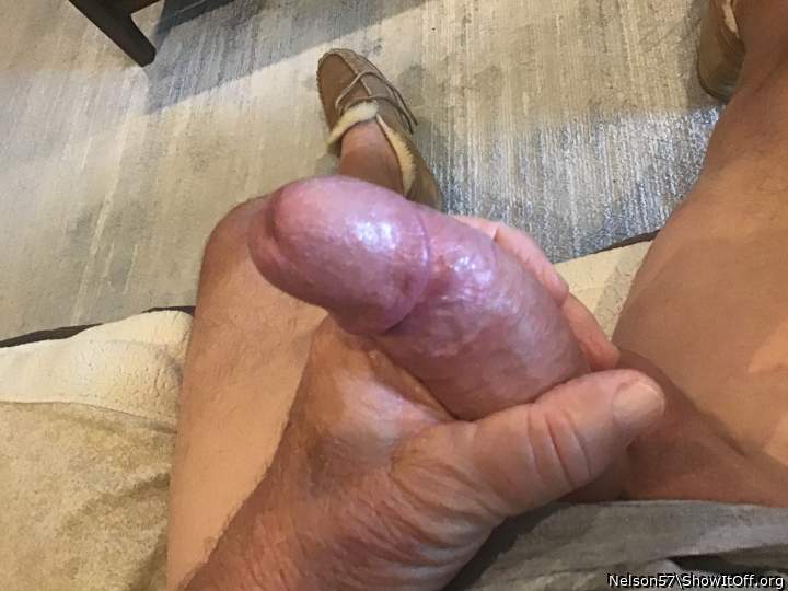 Adult image from Nelson57