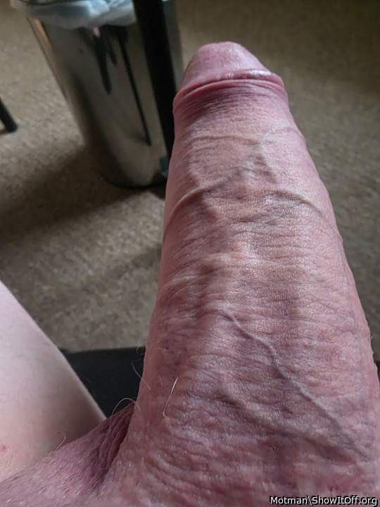 Adult image from Motman