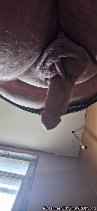 Adult image from Pigfarmer80