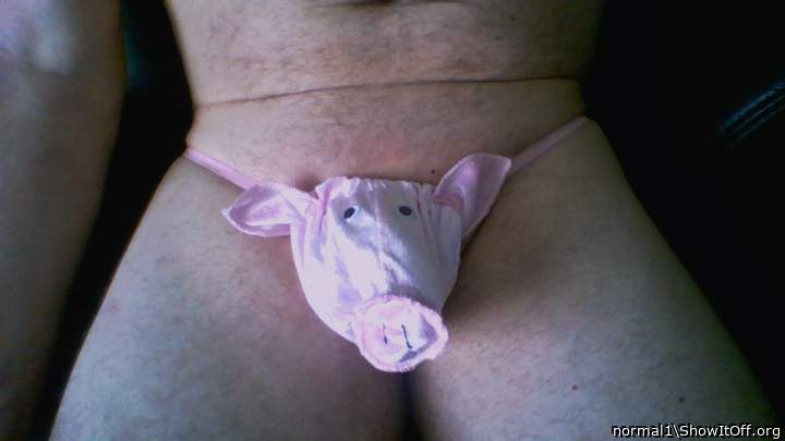 This Little Piggy