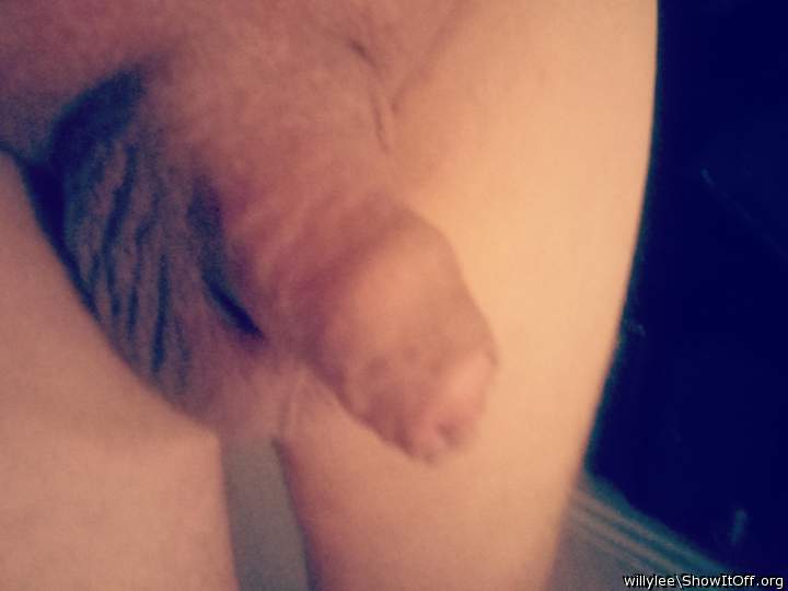 Freshly shaved and ready to play