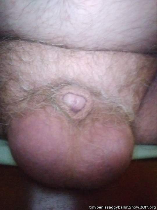 Adult image from tinypenissaggyballs