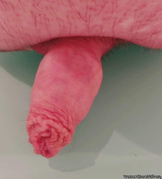 Adult image from Wessex