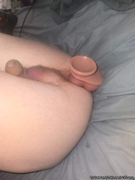Adult image from LittleMan20