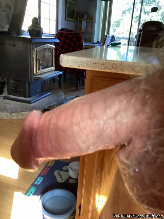 Adult image from Peke3047