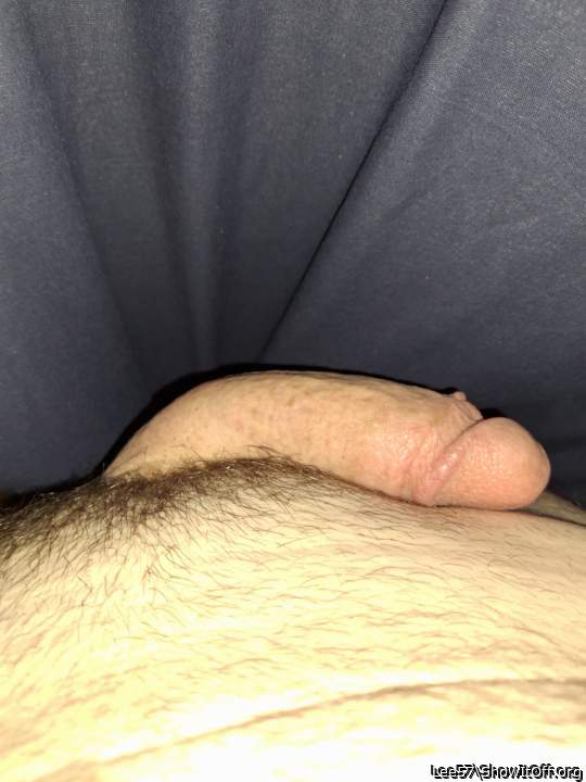 Adult image from Lee57