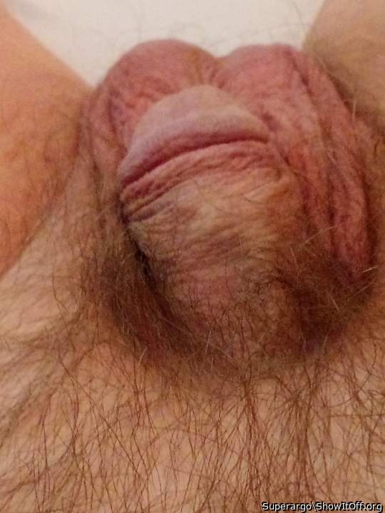 Adult image from Superargo