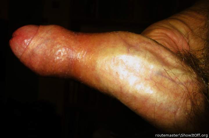 My early morning hard-on, 5.8.25