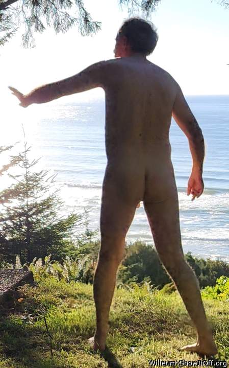 Adult image from Willeum