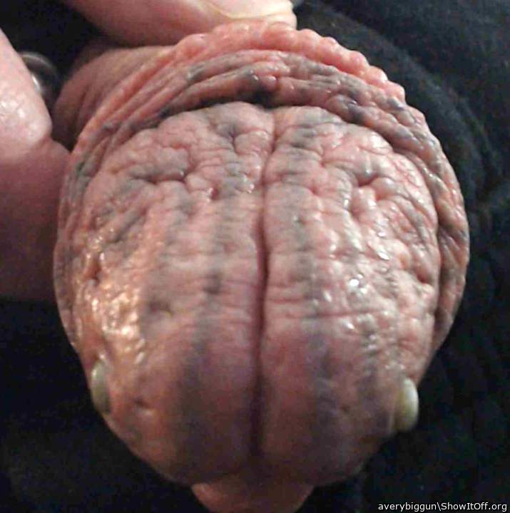 Branded, Scarred, Pierced & Tattoed Head