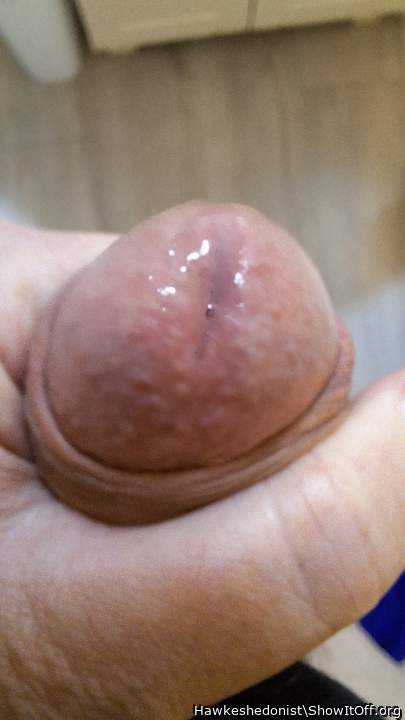 Adult image from Hawkeshedonist