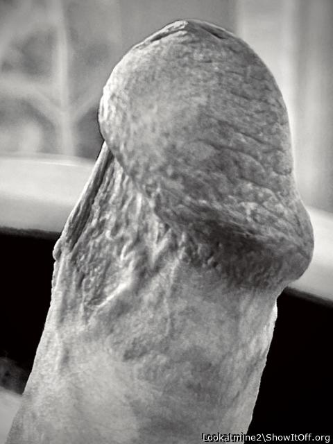 Black and White Glans Portrait