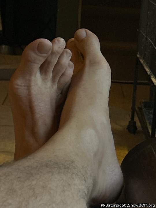 Adult image from PPBatorpig50