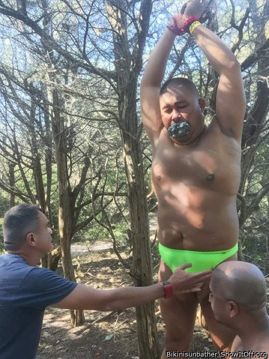 tied up in the woods