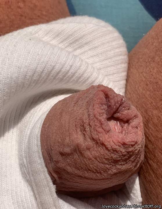 Adult image from lovecockandass