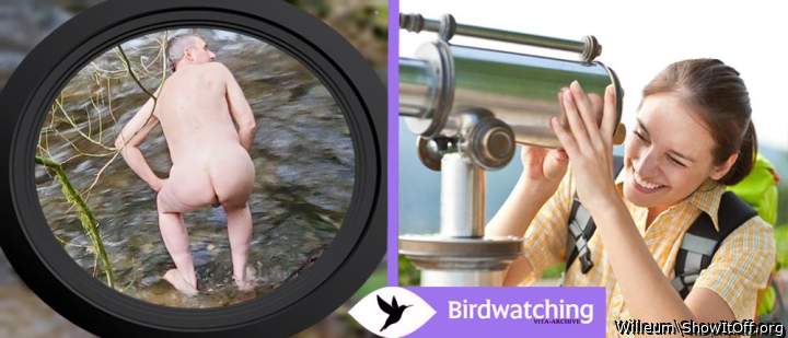 Adult image from Willeum