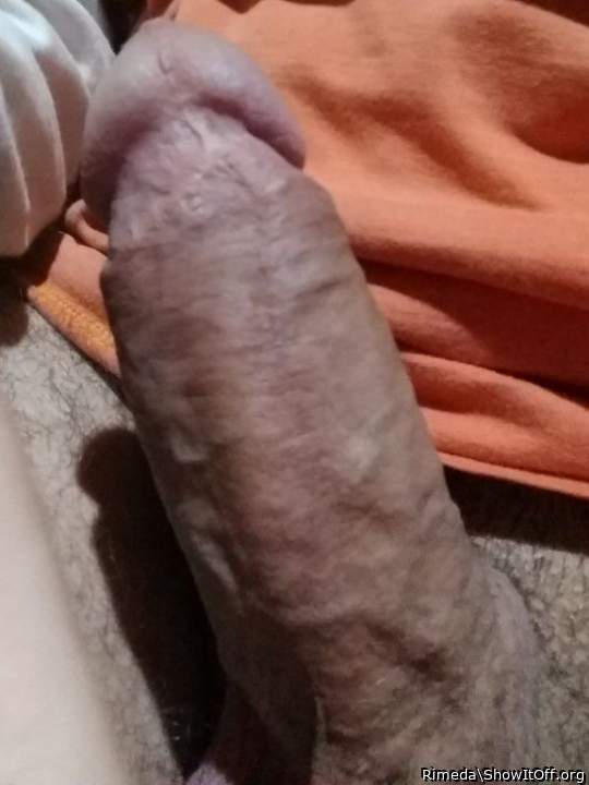 Adult image from Rimeda