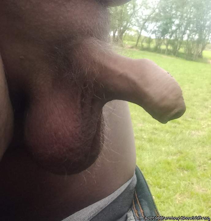 nice uncut dick 