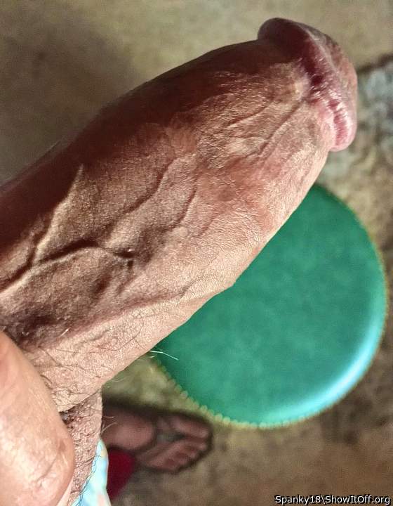 Veiny cock