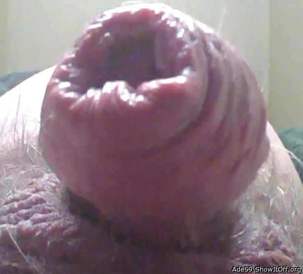 love this cock 