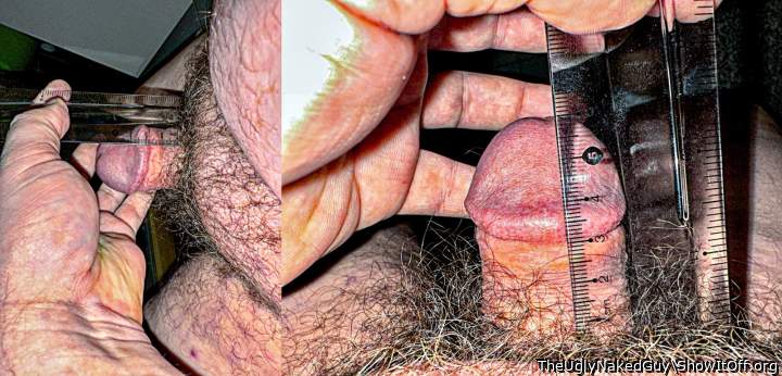 My 100% hard/erect penis