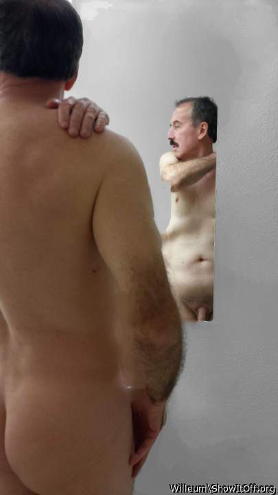 Adult image from Willeum