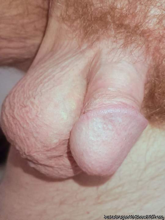 Adult image from Justadragon40