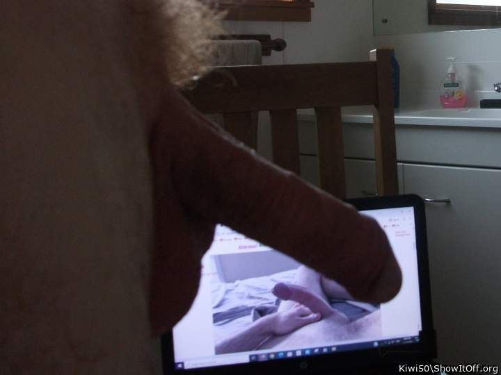 Cock looking at cock on screen.