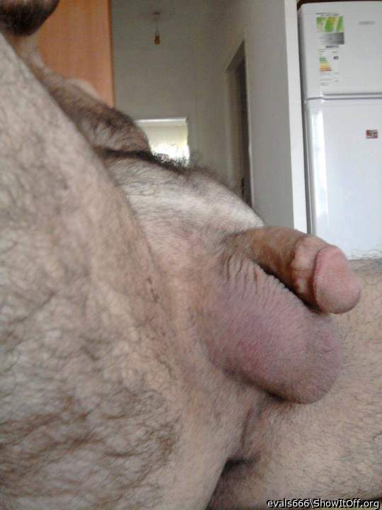 Adult image from evals666