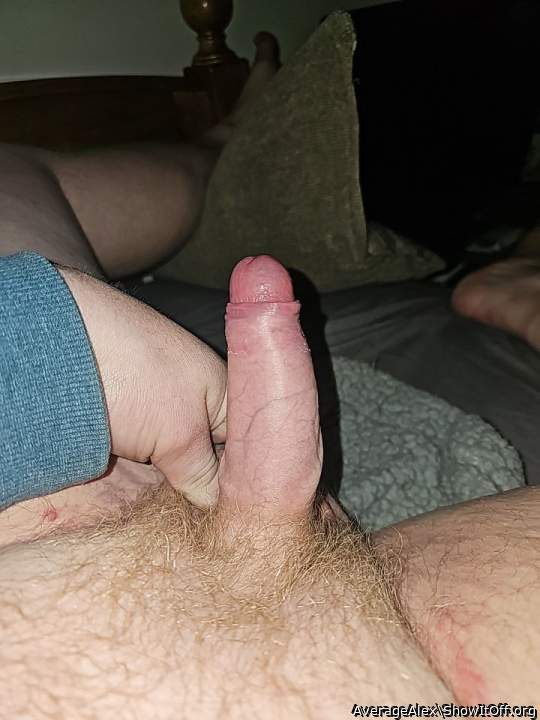 Adult image from AverageAlex