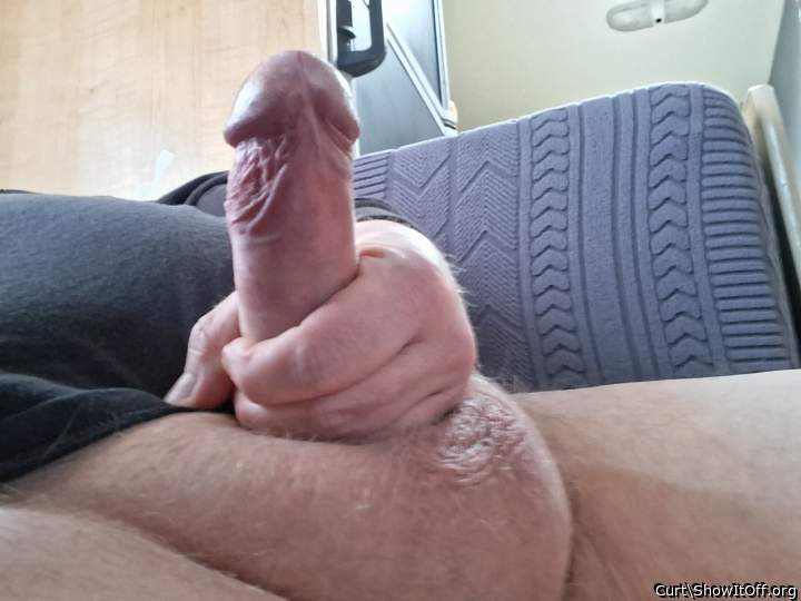 Adult image from Curt