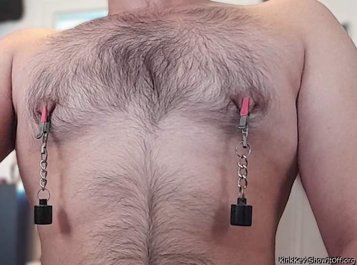 Wonderful combination - bodyhair and nippleclamps!