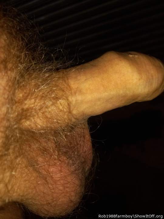 Adult image from Rob1988farmboy