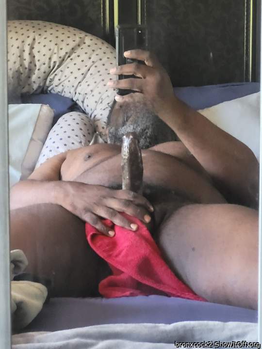 Adult image from bronxcock2