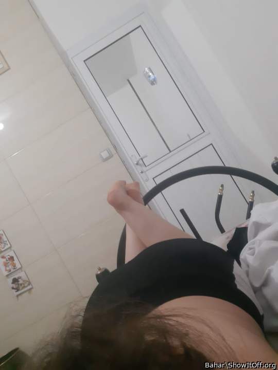 Adult image from Bahar
